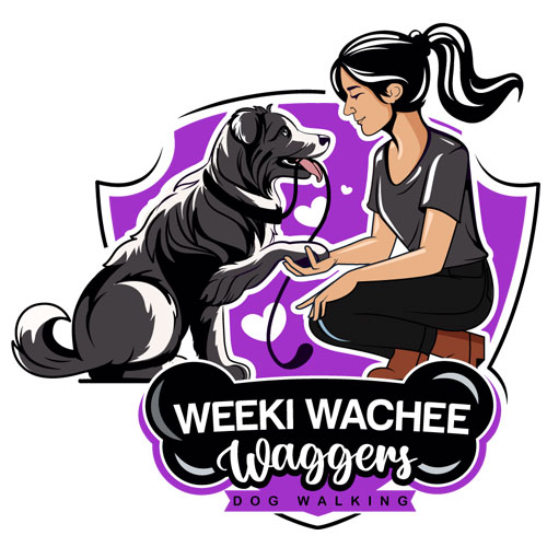 Weekiwachee Waggers